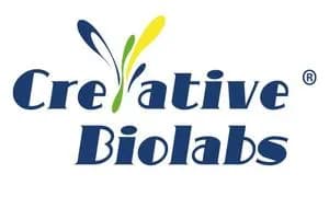 Creative Biolabs Unveils Multi-System Exosome Disease Models for Translational Research